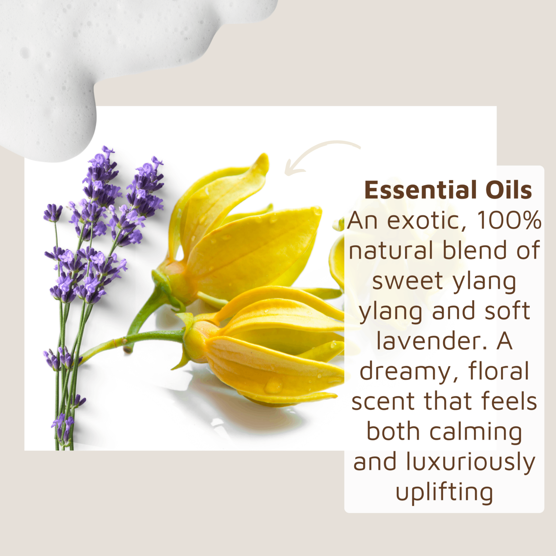 lavender ylang ylang flowers