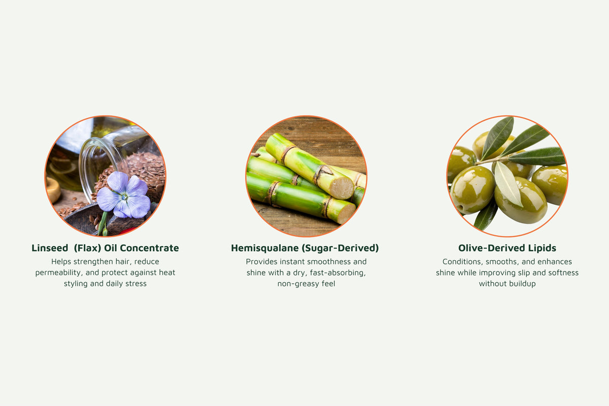 Hair oil with olive-derived lipids, hemisqualane and linseed oil concentrate