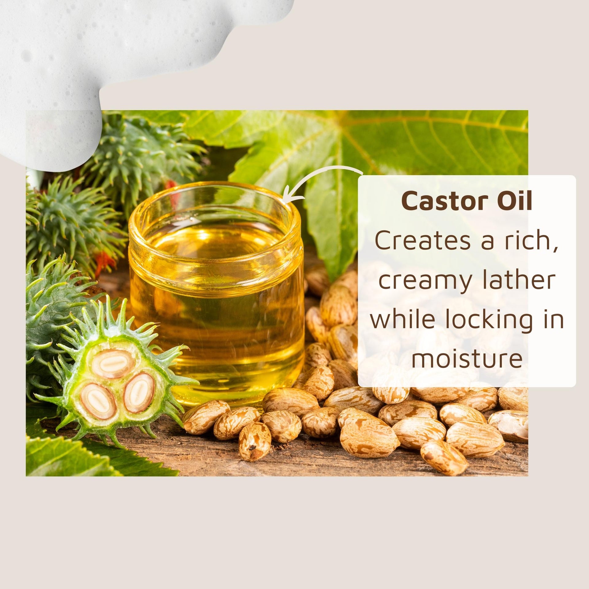 Glass of castor oil with castor beans and leaves on a wooden surface